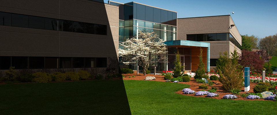 Media Landscapers