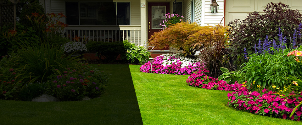 Media Landscapers