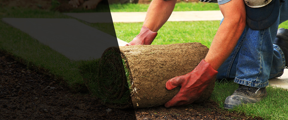 Media Landscapers